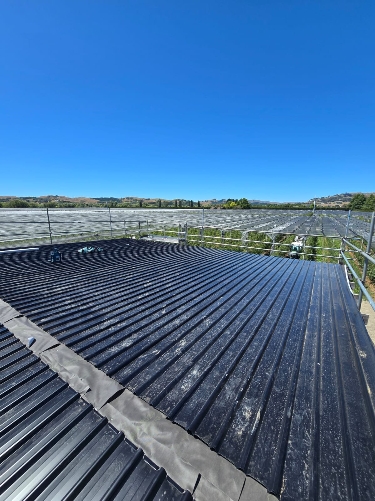 Roofing Hawke's Bay